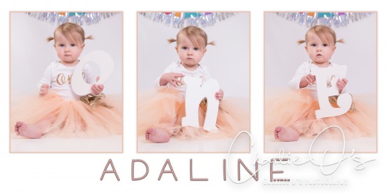 Adaline's One Year Old Portraits