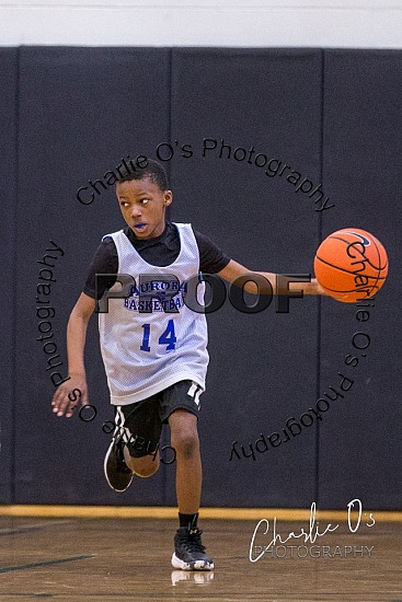 Aurora Youth Basketball